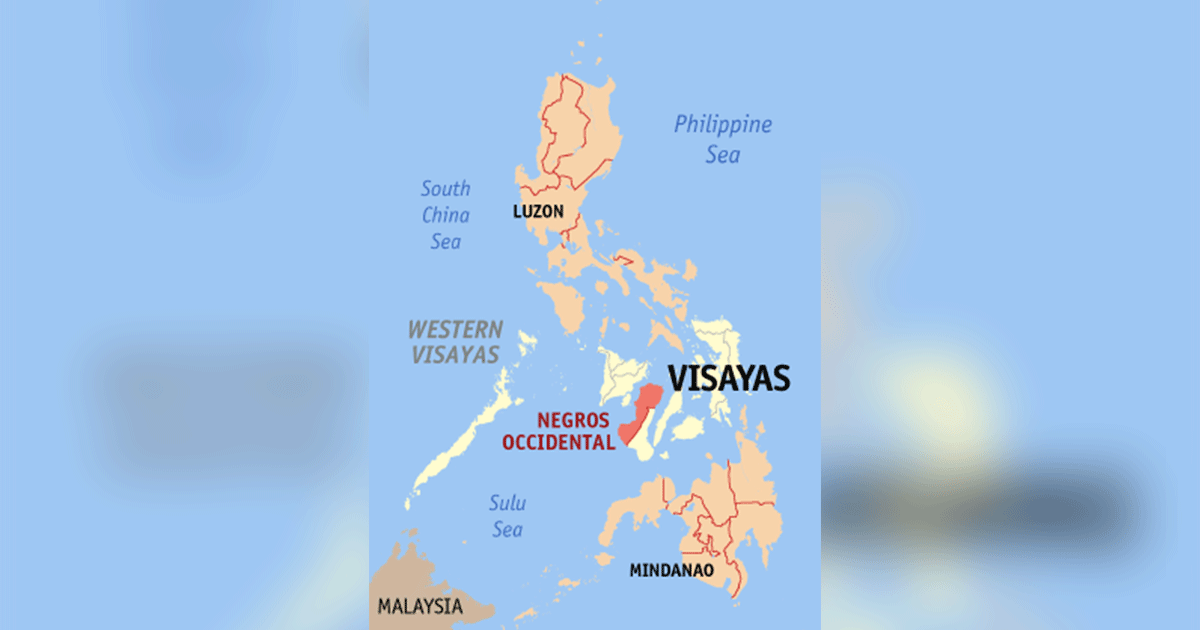 Negros biomass plants seen to operate soon