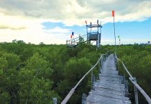 In Leganes, Iloilo, AC Energy will help construct a boardwalk at the Katunggan Ecopark mangrove forest.