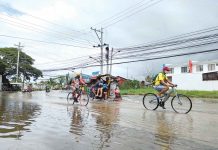 Due to the growing number of erring cyclists who blatantly ignore traffic laws, DOTr assistant secretary Steve Pastor suggests that the officials of local government units should pass an ordinance making bikers liable for their unruly behavior on the road