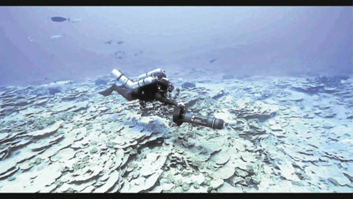 A diver explores the spectacular marine biodiversity of Benham Rise, now renamed Philippine Rise, in this screen grab from a film by Oceana Philippines. OCEANA VIDEO