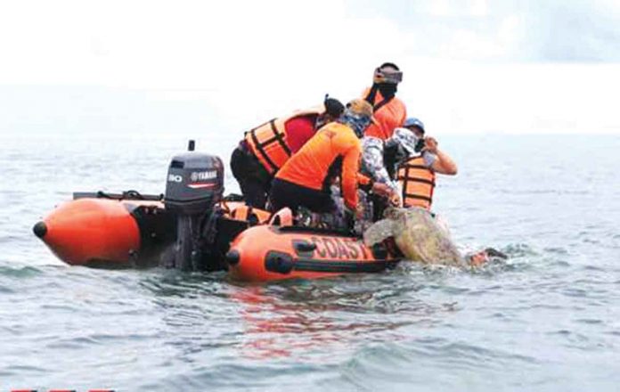 Philippine Coast Guard personnel release a green sea turtle back to the sea. PHOTO FROM CAPIZ KABALAKA INFORMATION CENTER