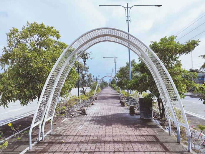 Once finished, these green tunnels will not only beautify the Diversion Road but also provide a safe place for leisure and exercise.