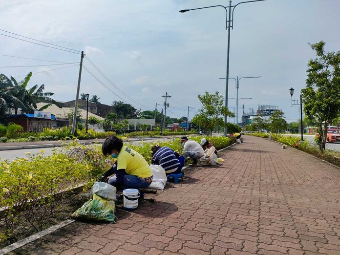 Personnel of the Iloilo City Beautification Program in their early morning grind. PANAY NEWS PHOTO