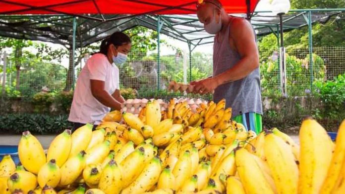 The “Manindahan Ta Street Market” in Roxas City gives farmers another venue to market their products during this difficult pandemic period. Photos from Capiz Tourist Information Center and Specialty Shops