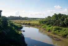 The Jalaur River is a source of irrigation, water supply for domestic use in Iloilo City and its adjacent municipalities, and generates up to 6.6 megawatts electric power supply. DENR