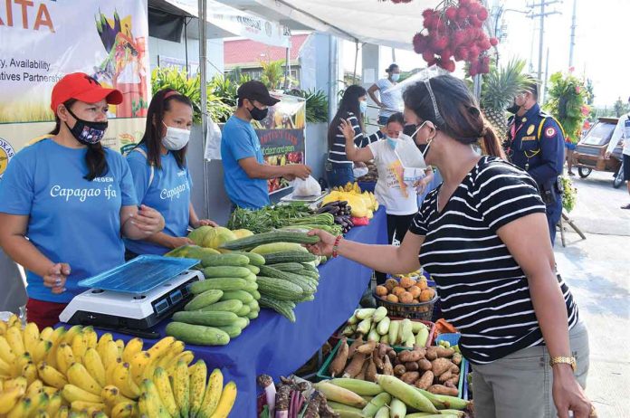 Organically farmed fruits, vegetables, root crops, herbs, dried fish, and other agricultural processed goods from several towns in Capiz will be sold at lower prices in KADIWA ni Ani at Kita market outlet in Roxas, Capiz, on Saturdays twice a month. DA-6