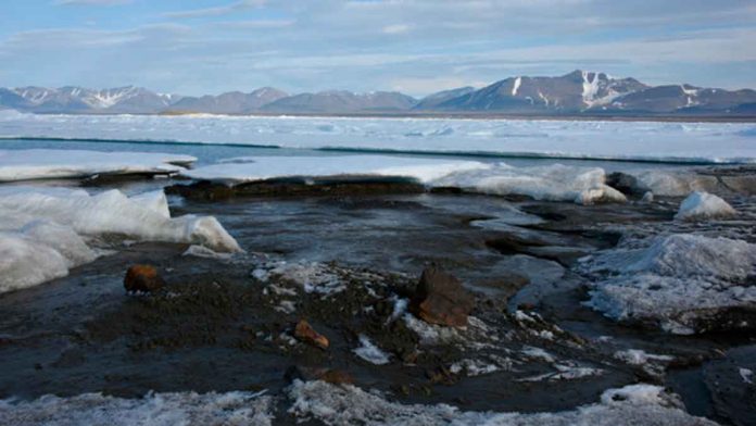 a view of the newly discovered Island, off the coast of Greenland. Morten Rasch via AP