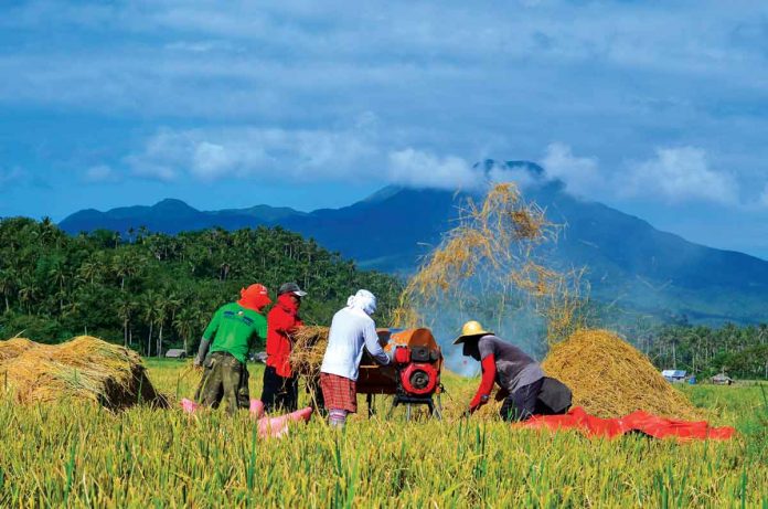 The Department of Agriculture is unable to buy palay or unmilled rice from local farmers due to budget constraints. “Wala po kaming mandato na bibili ng palay. Hindi ho namin kaya. Malaki ‘yung budget,” DA secretary William Dar says. DA