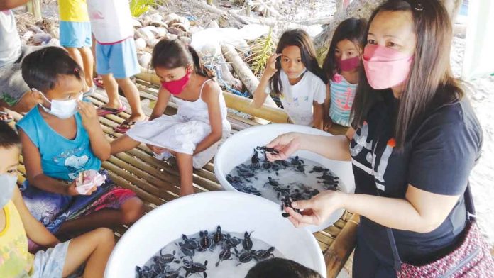 Municipal Agriculture Officer Florime Olandres of Pandan, Antique prepare to release these turtle hatchlings in the waters of Barangay Dionela, Pandan. PHOTO BY RADYO KAIMAW DYNC