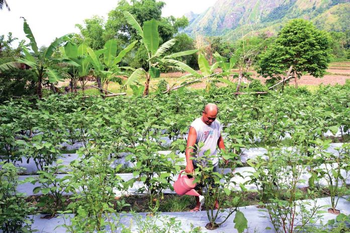 Farmers, small vendors, women, fisherfolk, animal raisers, and seasonal workers with an insufficient and unstable source of income were the majority of those who received livelihood assistance from DOLE. DA-SAAD