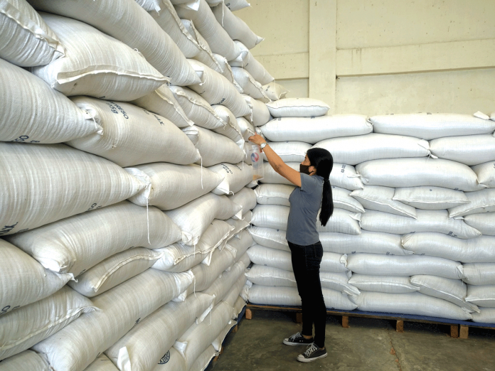 PALAY QUALITY AUDIT. A personnel of the National Food Authority (NFA) in Negros Occidental conducts a quality audit on the newly-procured palay. This aims to ensure conformity to the set NFA palay quality standards. NFA NEGOCC