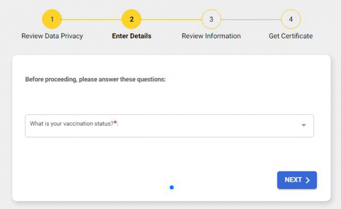 This will appear when you visit vaxcert.doh.gov.ph.