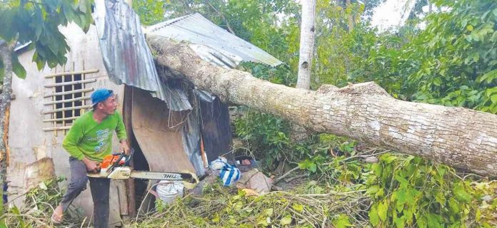 A fallen tree crushes this house in Buenavista, Guimaras. Strong winds from super typhoon “Odette” started whipping Guimaras around 10 p.m. on Dec. 16 and further escalated by 2 a.m. of Dec. 17. This went on for some six hours, the reason why many trees fell. PHOTO BY BUENAVISTA LGU