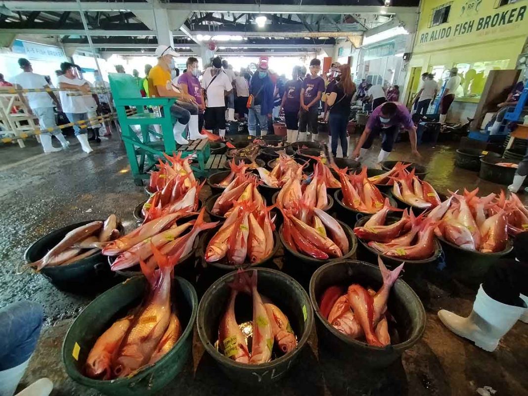 No fish shortage; BFAR Western Visayas 114 fish sufficient