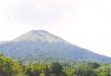 Kanlaon volcano straddles the border shared by Negros Occidental and Negros Oriental. At 2,465 meters above sea level, it is the highest point in Negros Island and in the Visayas. PHOTO COURTESY OF PHILIPPINE BIODIVERSITY CONSERVATION FOUNDATION, INC.