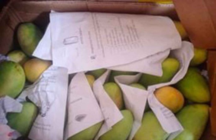 POAS apprehended 150 kgs fresh mangoes in Buenavista wharf. Photos from POAS Guimaras Facebook page