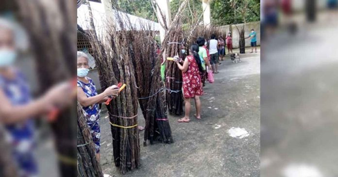 These bundles of nito vines in Barangay Napatag, Tangalan, Aklan will be woven by parents of child laborers into nito handicrafts that are popular souvenir items for local and foreign tourists. DOLOE-6 PHOTO