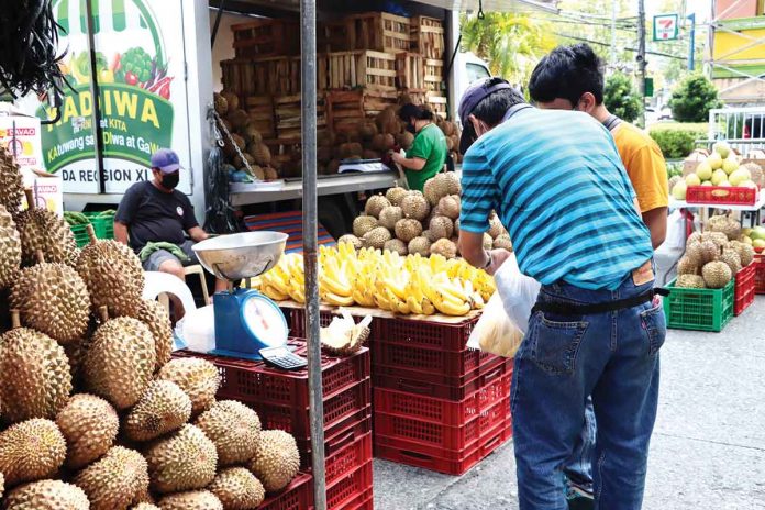 In the recent “Kadiwa On-Wheels” in Iloilo City, various Region XI farm produce were featured such as durian, lakatan and cardava bananas, mangosteen, lansones, marang, jackfruit, pomelo, pineapple, avocado, and other tropical fruits. DA-6 PHOTO