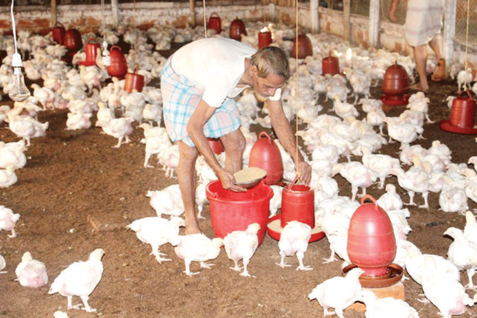 Negros Occidental is ensuring the safety of its poultry industry and the protection of the general public from the highly pathogenic avian influenza.