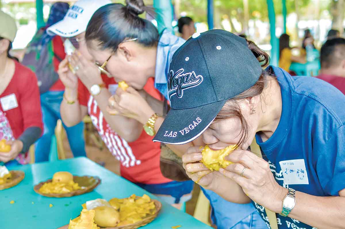 Guimaras readies 10 tons of mangoes; eat all you can