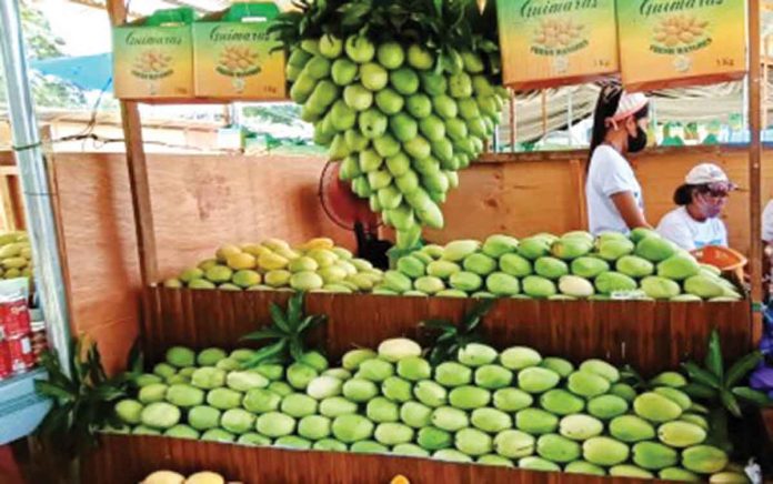 Mangos are on display at the recent Manggahan Festival Agri-Trade Fair in Guimaras. PNA