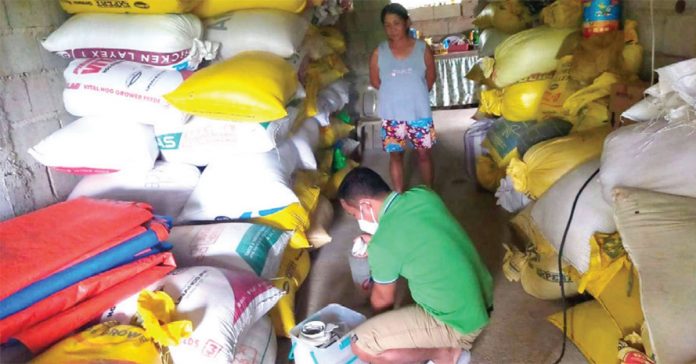 Mobile teams of the National Food Authority travel to far-flung areas of Capiz to cater farmers who have good quality of stored palay but need support to transport their produce to the nearest buying stations. PIA-CAPIZ PHOTO