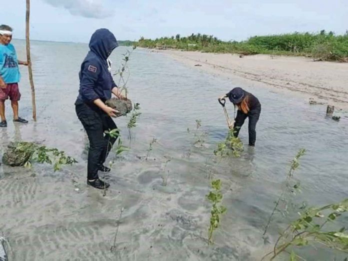 This portion of the shore in Barangay San Ramon, Pilar, Capiz is part of the municipality’s beach forest area. Pilar aims to grow more mangroves in the area. PHOTO FROM BANGON PILAR FB