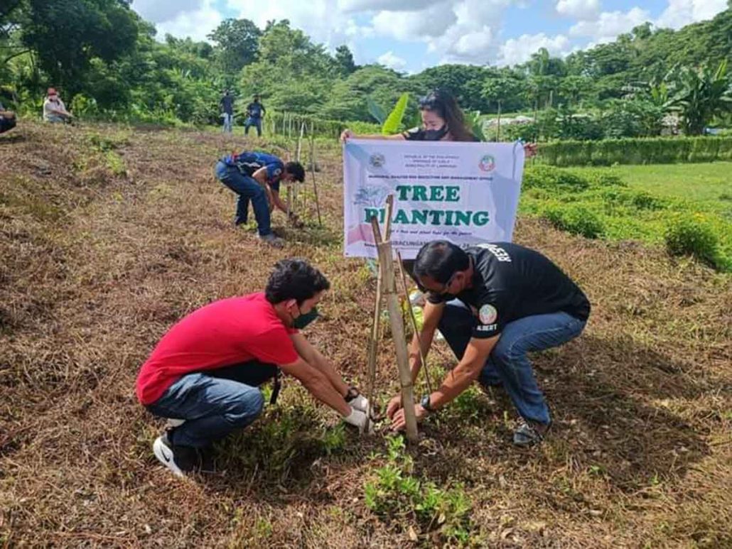 The provincial government of Iloilo targets to grow 1.5 million seedlings for the whole year. For the month of June alone, a total of 309,489 trees were planted. PGENRO PHOTOS