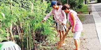 Residents of Barangay Rizal, Ibajay, Aklan clean their surroundings to get rid of dengue mosquitoes’ breeding places.