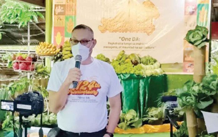 Iloilo City government agriculturist Iñigo Garingalao on June 29, 2022 says 180 barangays and schools are expected to embark on urban farming. An ordinance approved by the Sangguniang Panlungsod has institutionalized urban agriculture in the city. PNA PHOTO BY PERLA G. LENA