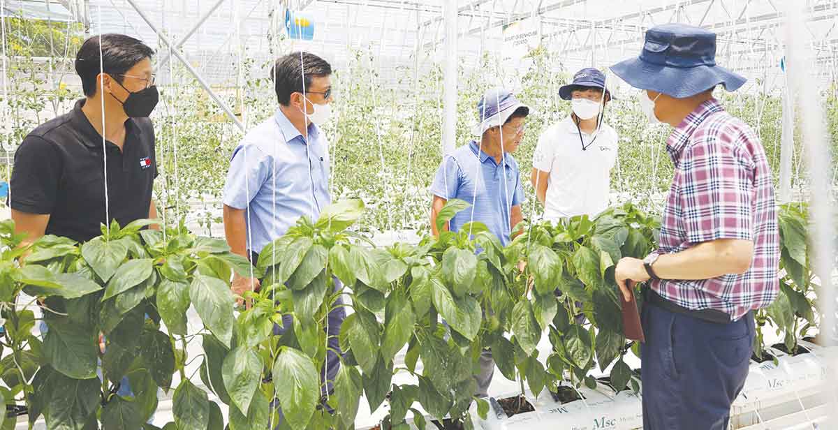 Korea ‘smart’ agri system to boost WV veggie production