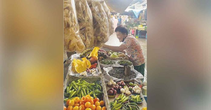 Vendors will benefit from a redeveloped world-class and modern Iloilo Central Market and Iloilo Terminal Market. Increased customer traffic in the markets will mean brisk business and more job opportunities for them.