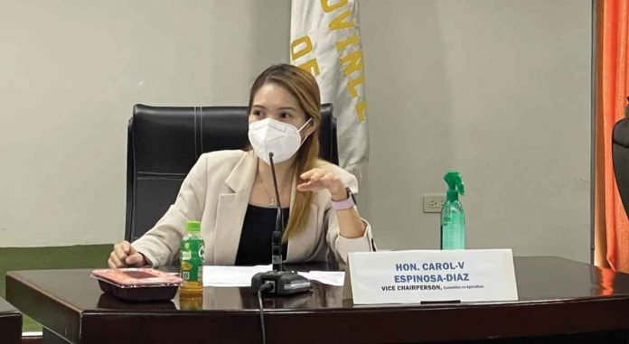 Iloilo 5th District Provincial Board member Carol V. Espinosa-Diaz, during the regular session of the Sangguniang Panlalawigan, delivers a privilege speech entitled “Clean our water, save lives”, which aims to thwart the advent of yet another outbreak of acute gastroenteritis and cholera. CAROL V. ESPINOSA-DIAZ/FB