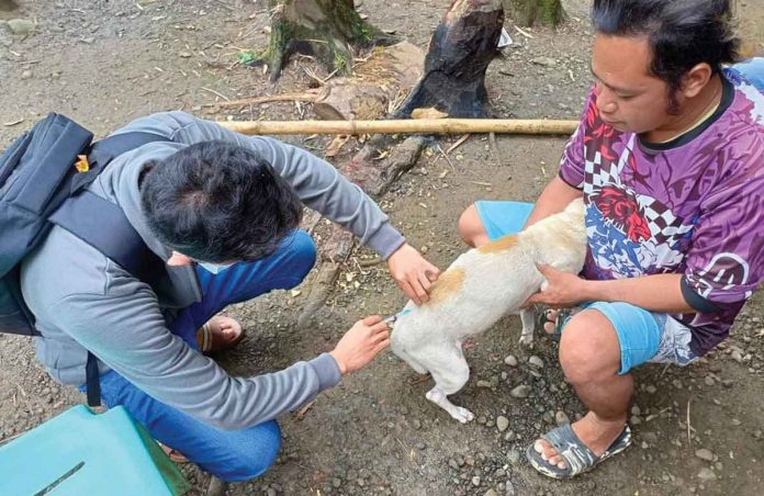 A Provincial Veterinary Office personnel vaccinates a dog against rabies in Oton, Iloilo. DAREL TABUADA/PVO