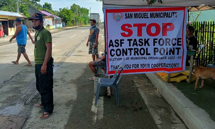 The local government of San Miguel, Iloilo has set up an African Swine Fever checkpoint on its boundary shared with the town of Oton. This is in boundary barangay of Abilay Norte, Oton. AJ MARCELLO PALCULLO/PN