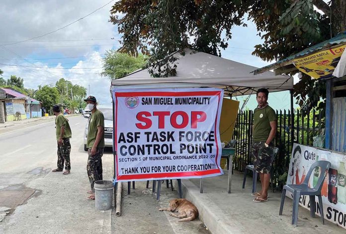 San Miguel’s Mayor Marina Luz Gorriceta confirms that blood samples from four hogs in Barangay San Jose tested positive for African Swine Fever (ASF). Since last week, the local government has started implementing ASF control points for the protection of the town’s hog raisers and pork consumers. MUNICIPALITY OF SAN MIGUEL FACEBOOK PAGE PHOTO