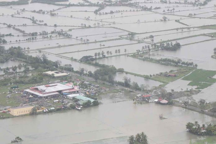 Data from the Department of Agriculture (DA) Region 6 as of Nov. 7 showed 180,218.57 hectares of farmlands in Western Visayas were damaged by Severe Tropical Storm “Paeng”. Aerial shot shows the flooded Hamtic town in Antique.