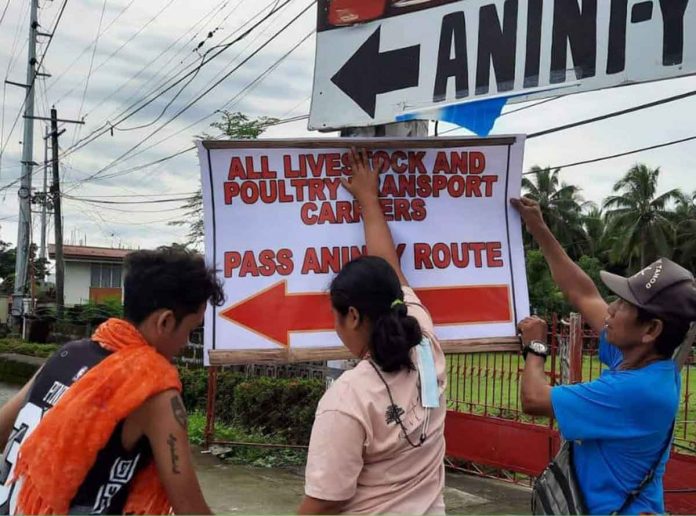 Antique intensifies its campaign against the African Swine Fever (ASF). The Provincial Veterinary Office installed ASF tarpaulins and signage at Mohon Terminal in Iloilo City, Tiolas in San Joaquin and Guinsang-an in Hamtic. PROVET FACEBOOK PAGE PHOTO