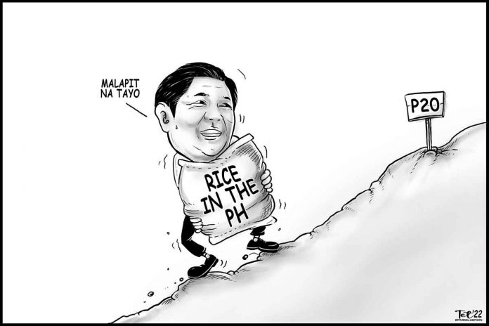 Editorial Cartoon for November 18, 2022.