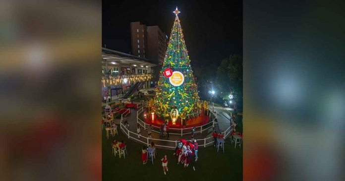 Dubbed as the tallest Christmas tree in Iloilo City, this 60-foot tree is one of SM City Iloilo’s contributions to spread the holiday cheer. Located at SM City Iloilo’s Southpoint, it features, among others, gift boxes and custom-made “Angels of Light” – a perfect backdrop for that snazzy holiday season selfie, souvenir family photo or barkada groupfie. Complementing the giant Christmas tree is a skating rink/pond where kids and the kids-at-heart can live out a delightful “Christmas at the park”.