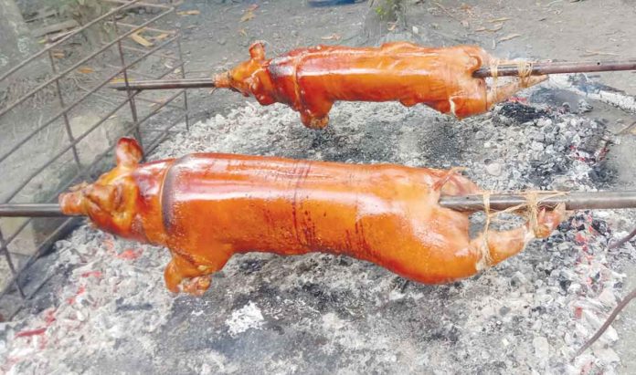 Iloilo province’s “pork festival” is inspired by Balasan town’s Lechon Festival. Provincial Tourism Pfficer Gilbert “Bombette” Marin says the objective is to help hog raisers whose businesses are reeling from the African Swine Fever. Photo shows lechon, one of the expected highlight menus during the festival. JOHN'S CRISPY LECHON FACEBOOK PAGE PHOTO