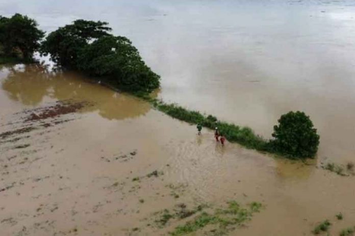 An aerial shot shows residents wading through a flooded rice field at a village in Tuguegarao, Cagayan province, north of Manila on Oct. 30, 2022, a day after Tropical Storm “Paeng” hit. PHOTO BY AGENCE FRANCE-PRESSE