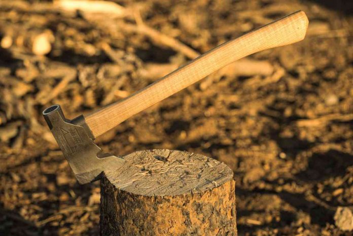 Photo for representation only. Photo by Troy Squillaci: https://www.pexels.com/photo/shallow-focus-photo-of-axe-on-tree-stump-4712552/