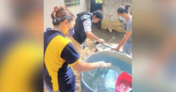 Personnel of the Department of Health Region 6’s Environmental and Occupational Health section conduct monitoring, surveillance and house visits to food poisoning survivors on Nov. 14. DOH-6 also conducts an information drive on clean and safe food preparation. DOH-6 PHOTO 