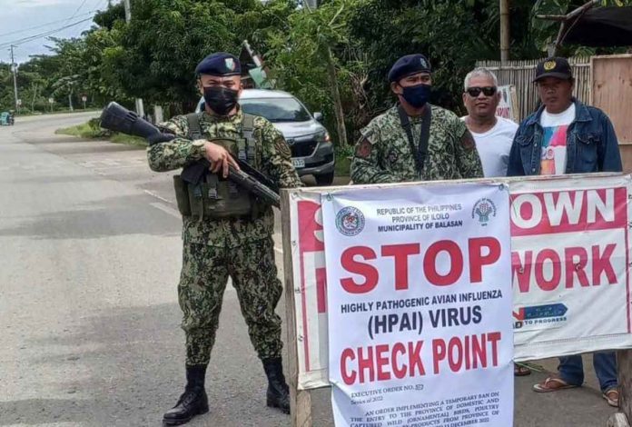 Beginning Sunday afternoon, Dec. 4, a border checkpoint against bird flu was established in Barangay Kinalkalan, Balasan, Iloilo in response to the Iloilo provincial government's executive order prohibiting the temporary entry of poultry products from neighboring Capiz province. OMA BALASAN FACEBOOK PAGE