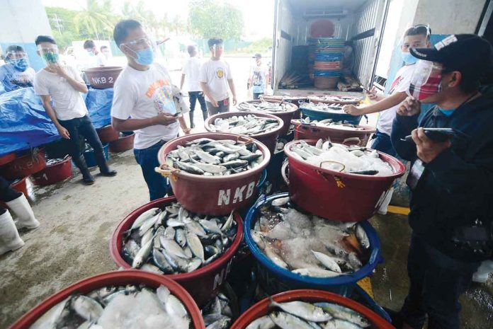 Iloilo province’s economy posted positive growth in 2021 and among its top contributors were agriculture, fishery and fishing. Photo shows the Iloilo Fish Port Complex – a major center of fish trading and marine products processing in Western Visayas. PN FILE PHOTO