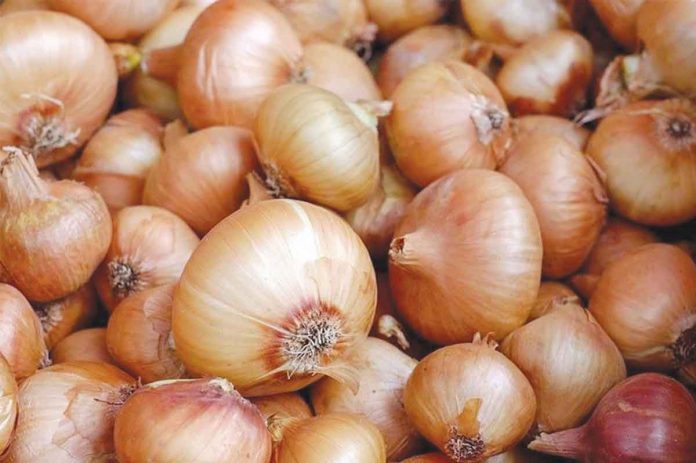 White onions found online are most probably smuggled into the country, as the Department of Agriculture has yet to issue import permits to address the current onion shortage. PIXABAY PHOTO