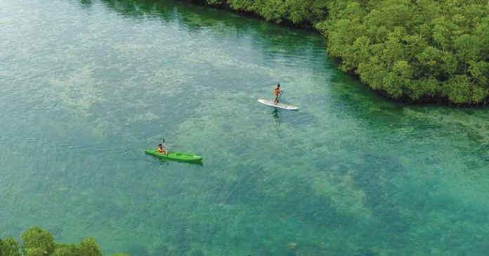 Lalaguna Mangrove and Eco Park in Northern Samar. DOT PHOTO