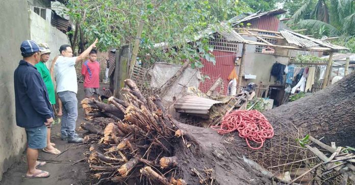 Gov. Arthur Defensor Jr. visits the tornado-hit barangays of Alegre and San Nicolas in Oton, Iloilo on Jan. 4. Provincial Disaster Risk Reduction and Management Office data show 15 houses were totally damaged and 82 partially damaged. BALITA HALIN SA KAPITOLYO FB PHOTO