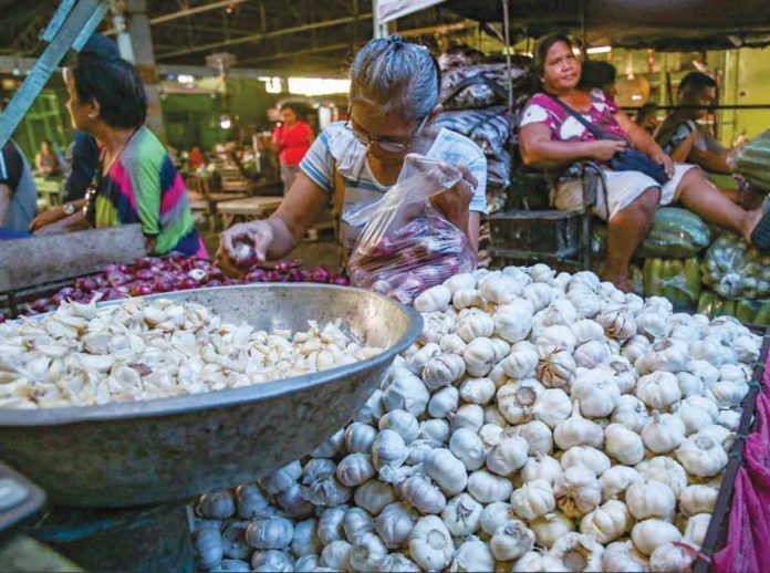 Department of Agriculture Region 1 says there is only a small supply of local garlic left in the country, and the stock of garlic in cold storage facilities will not be enough to fill the domestic requirement. ABS-CBN NEWS FILE PHOTO